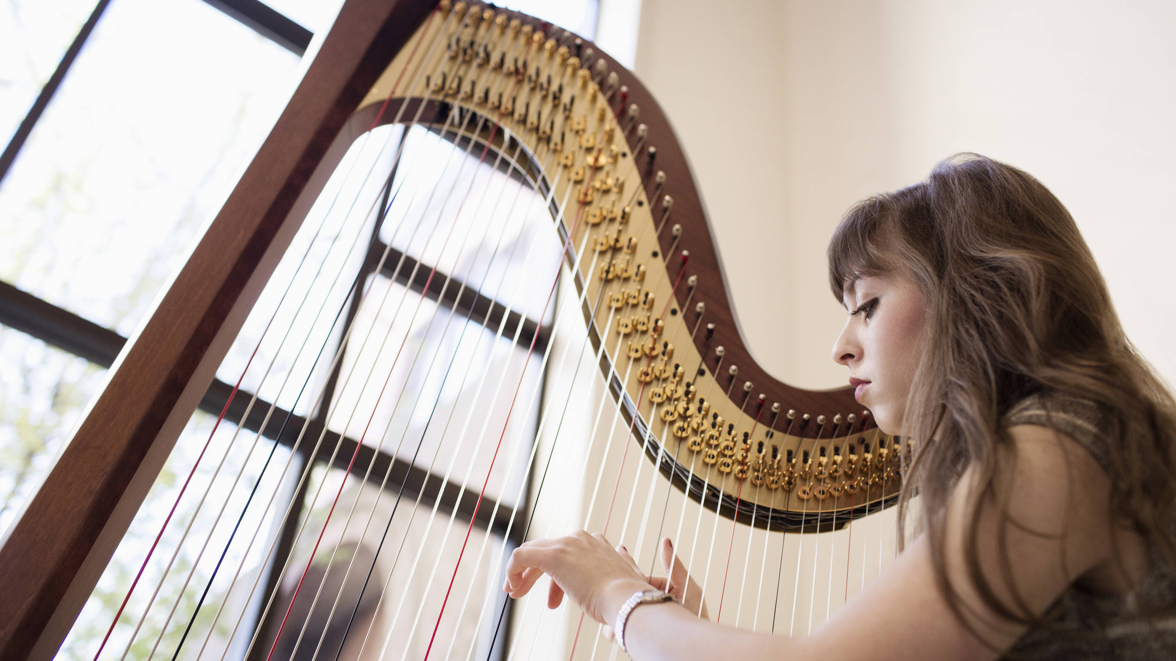Detail Harp Image Nomer 38