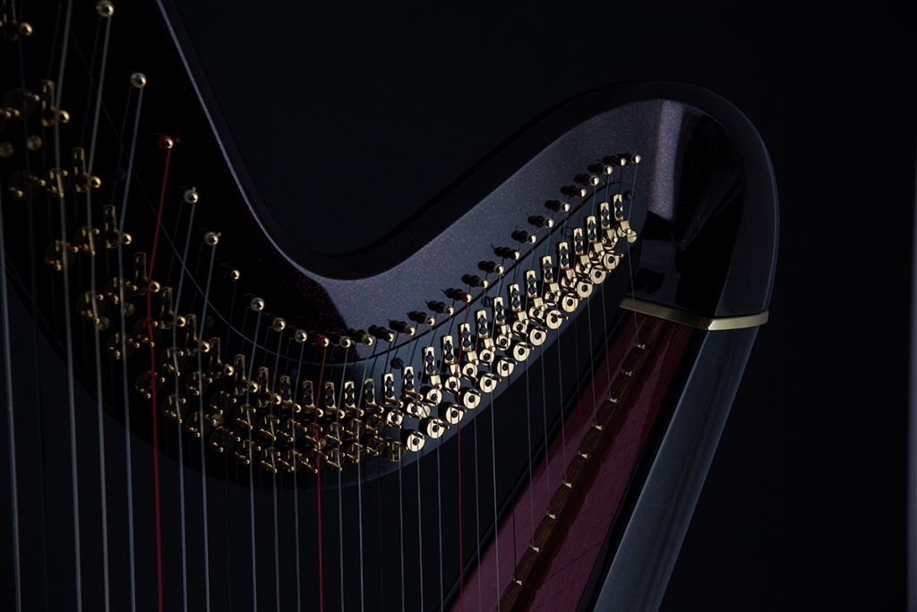 Detail Harp Image Nomer 45