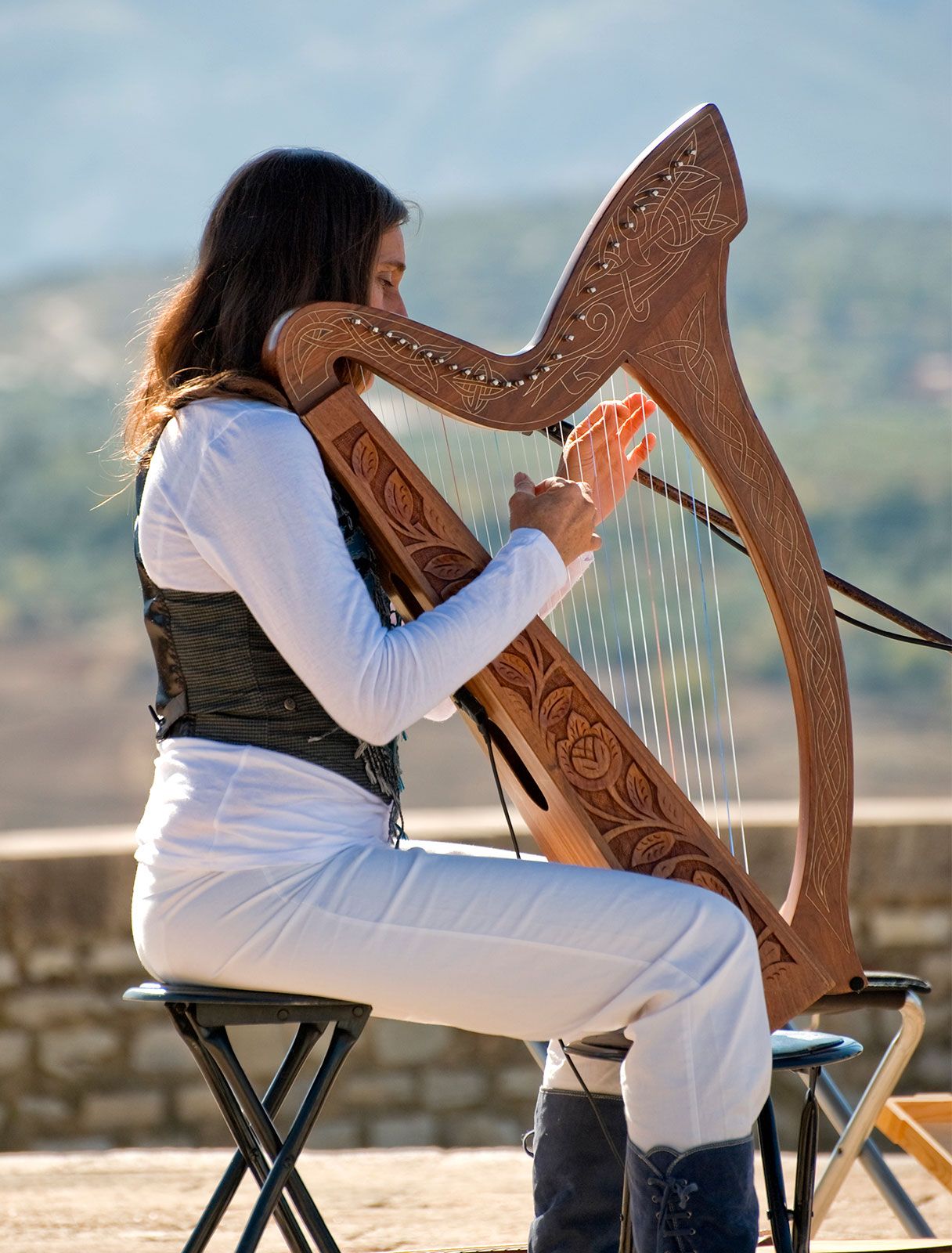 Detail Harp Image Nomer 8