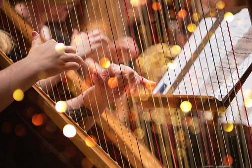Detail Harp Images Free Nomer 2