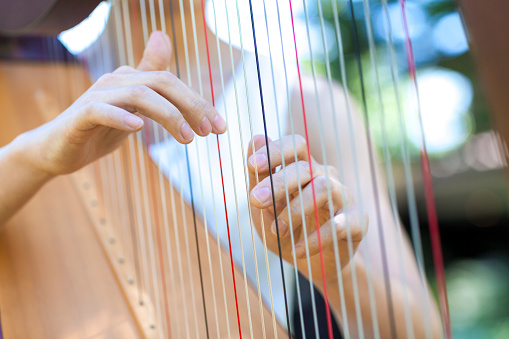 Detail Harp Images Free Nomer 25