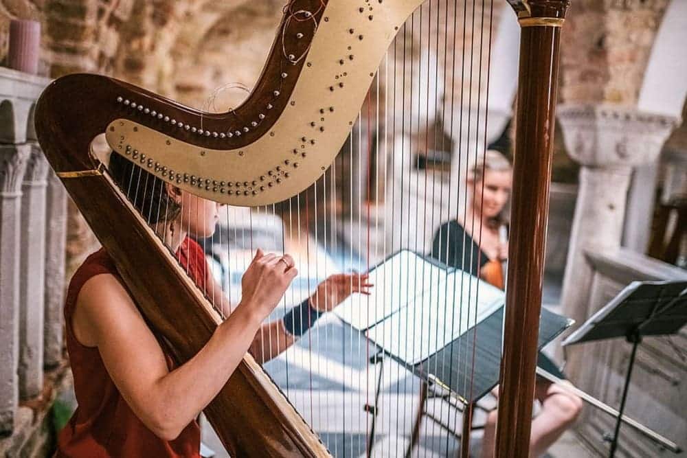 Detail Harp Images Free Nomer 31