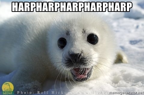 Detail Harp Seal Memes Nomer 9