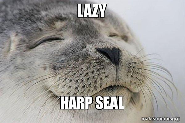 Detail Harp Seal Memes Nomer 11