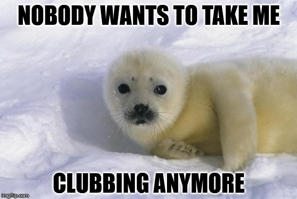 Detail Harp Seal Memes Nomer 32