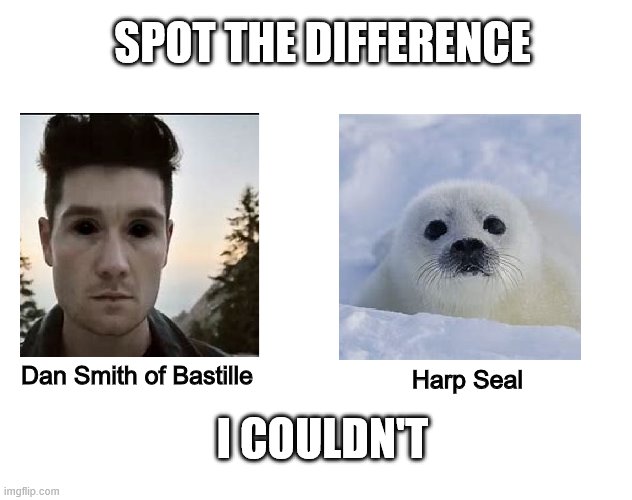 Detail Harp Seal Memes Nomer 5