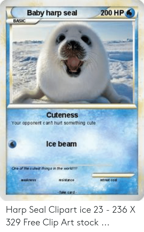 Detail Harp Seal Memes Nomer 40