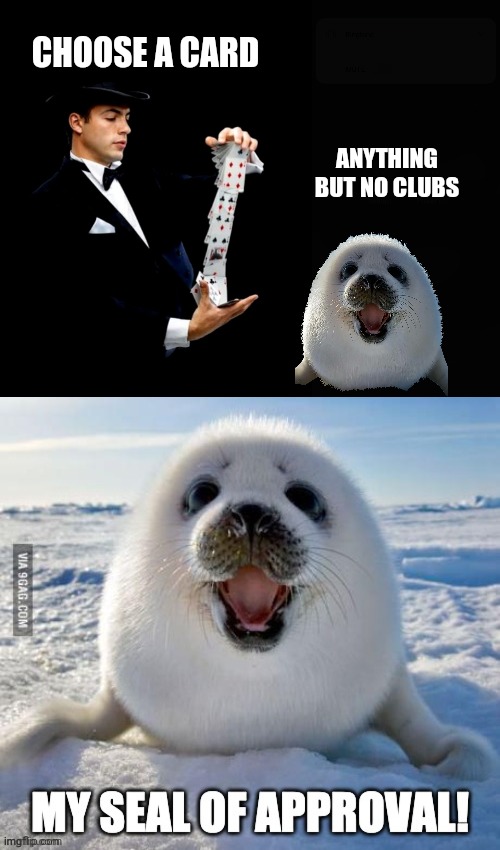 Detail Harp Seal Memes Nomer 51