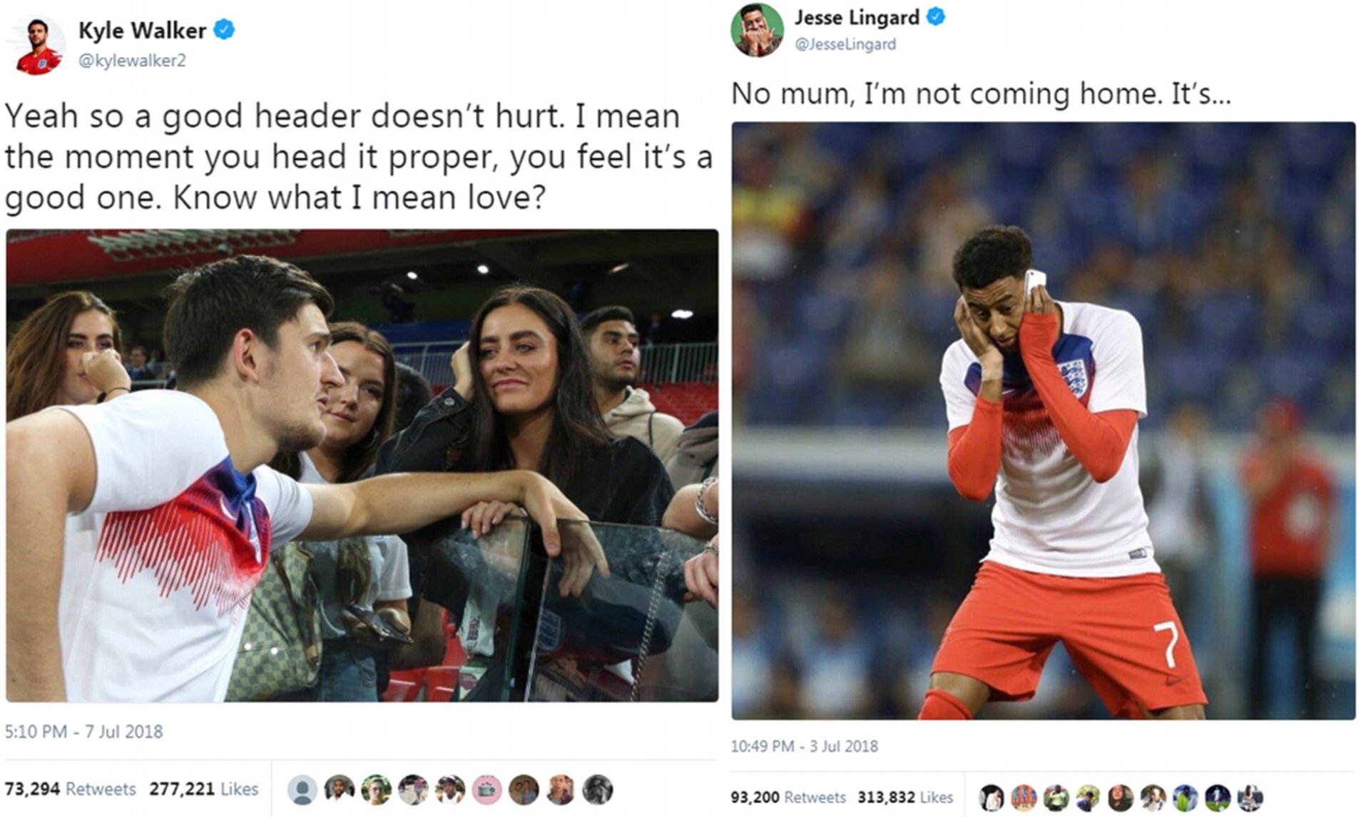 Detail Harry Maguire Meme Nomer 33