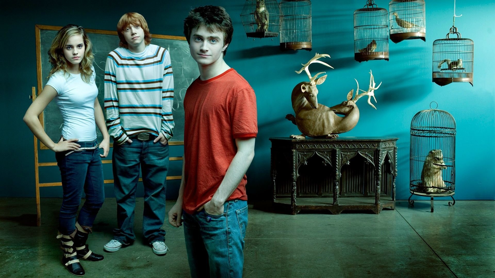 Detail Harry Potter Hd Nomer 33