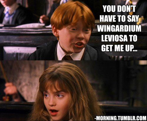 Detail Harry Potter Wingardium Leviosa Meme Nomer 11