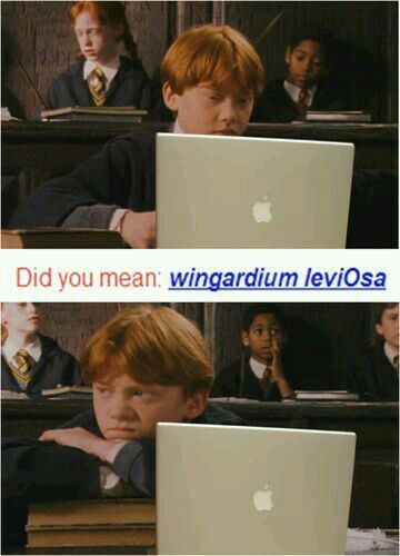 Detail Harry Potter Wingardium Leviosa Meme Nomer 13