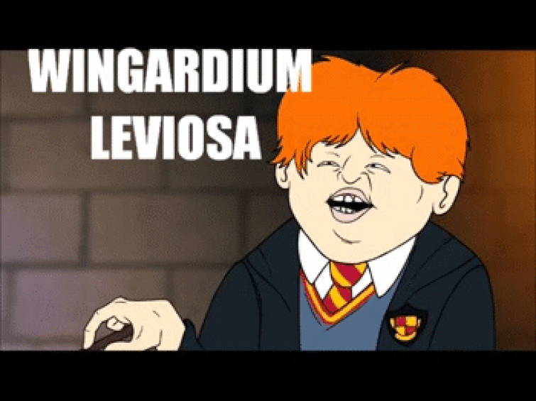 Detail Harry Potter Wingardium Leviosa Meme Nomer 5