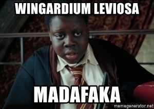 Detail Harry Potter Wingardium Leviosa Meme Nomer 40