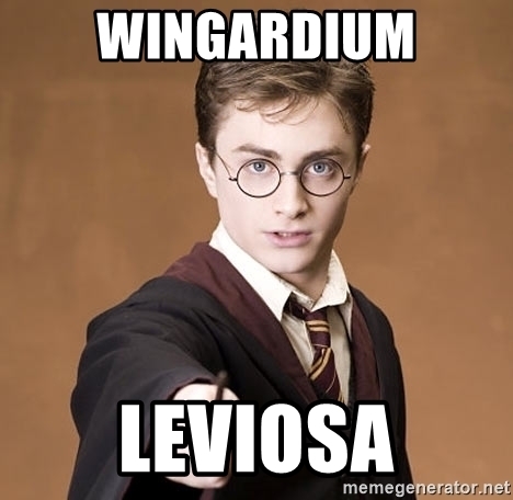 Detail Harry Potter Wingardium Leviosa Meme Nomer 9