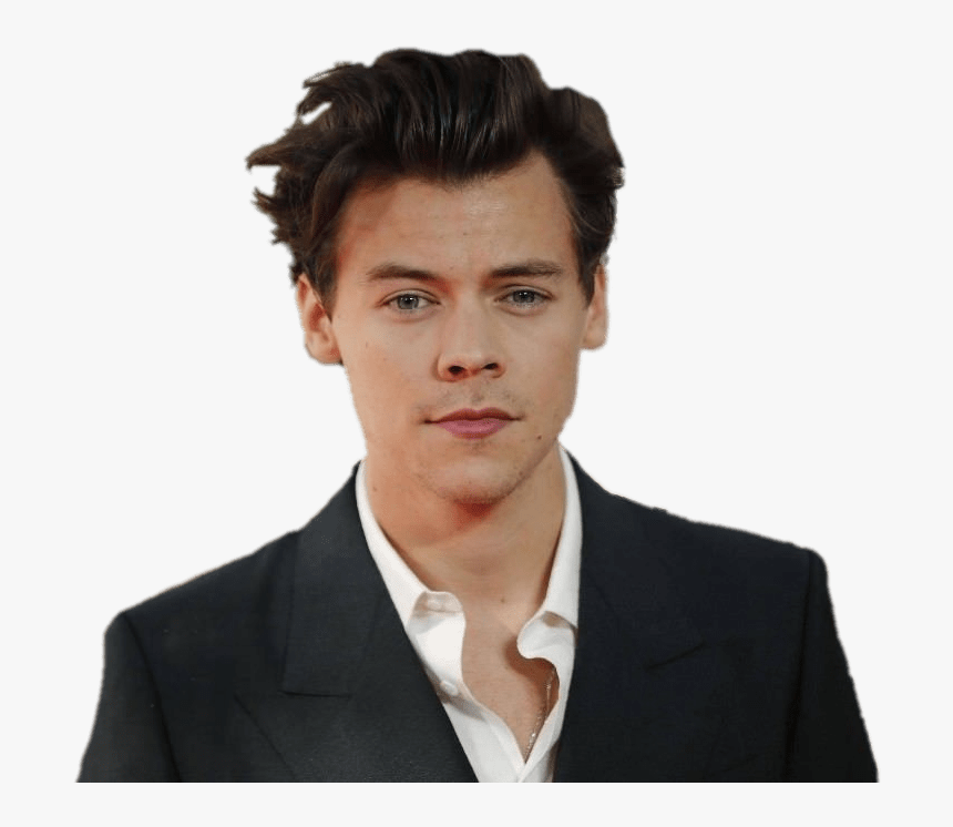 Detail Harry Styles Hd Nomer 31