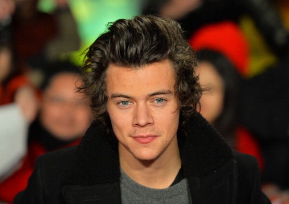 Harry Styles Net Worth - KibrisPDR