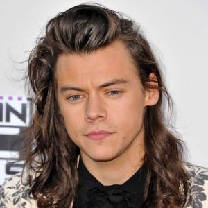 Detail Harry Styles Net Worth Nomer 12