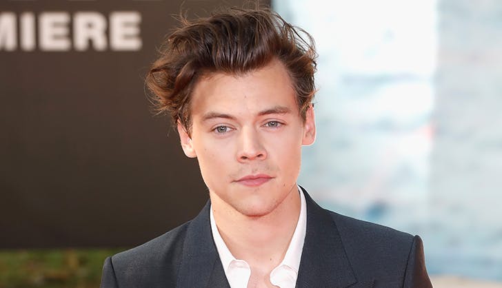 Detail Harry Styles Net Worth Nomer 18