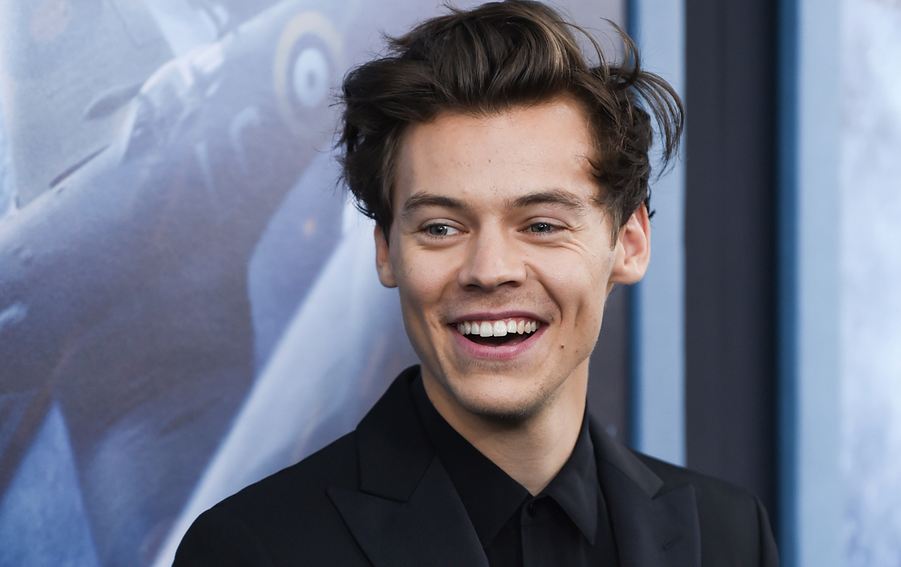 Detail Harry Styles Net Worth Nomer 24