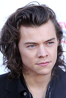 Detail Harry Styles Net Worth Nomer 28