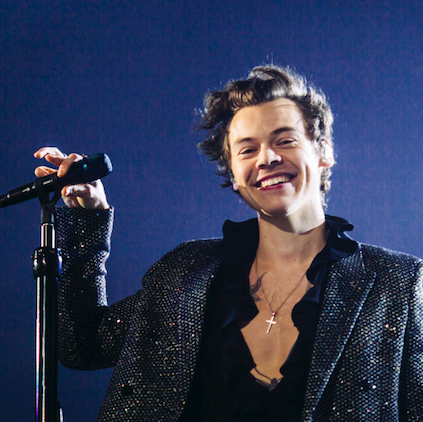 Detail Harry Styles Net Worth Nomer 4