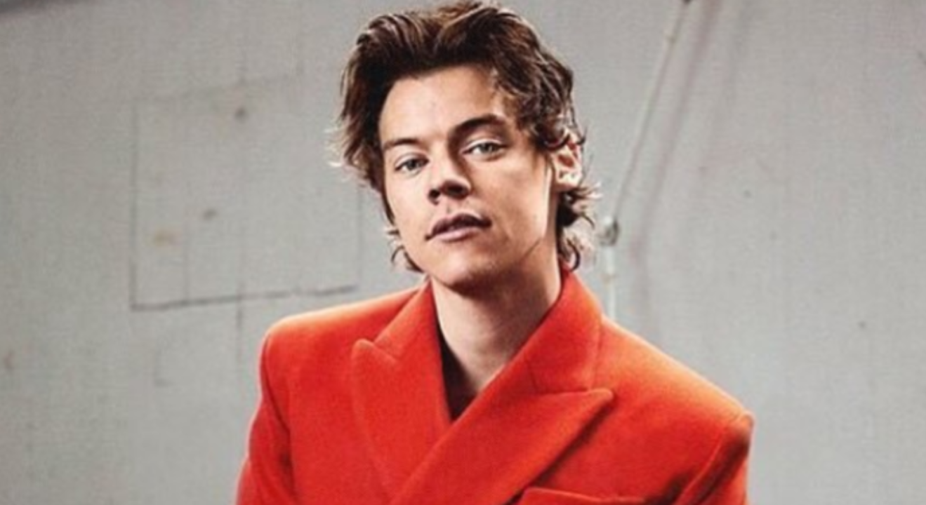 Detail Harry Styles Net Worth Nomer 31