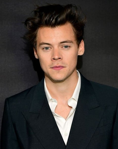 Detail Harry Styles Net Worth Nomer 33