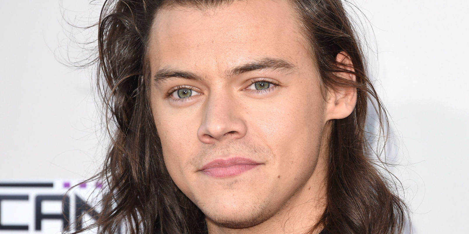 Detail Harry Styles Net Worth Nomer 51