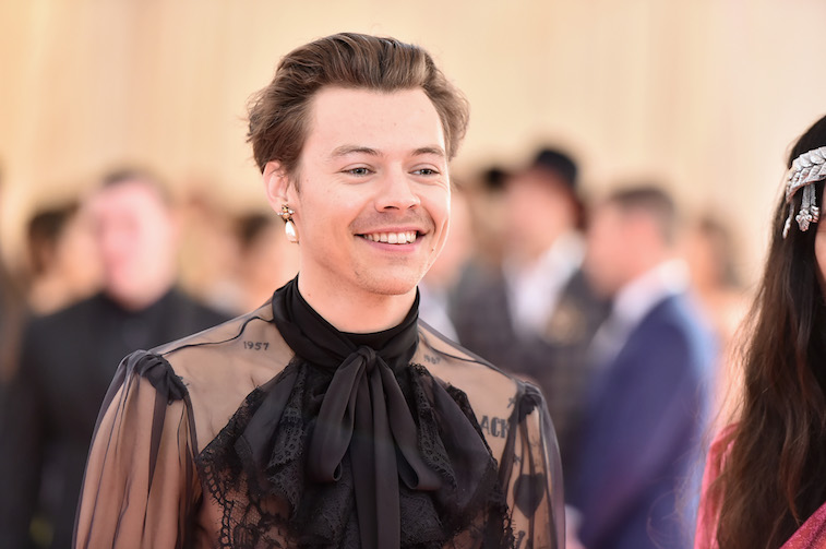 Detail Harry Styles Net Worth Nomer 8