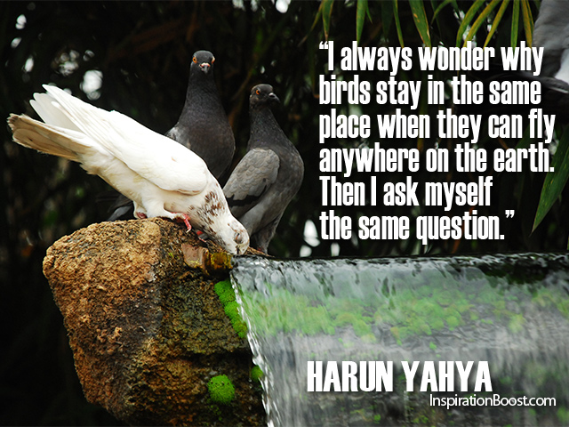 Detail Harun Yahya Quotes Nomer 28