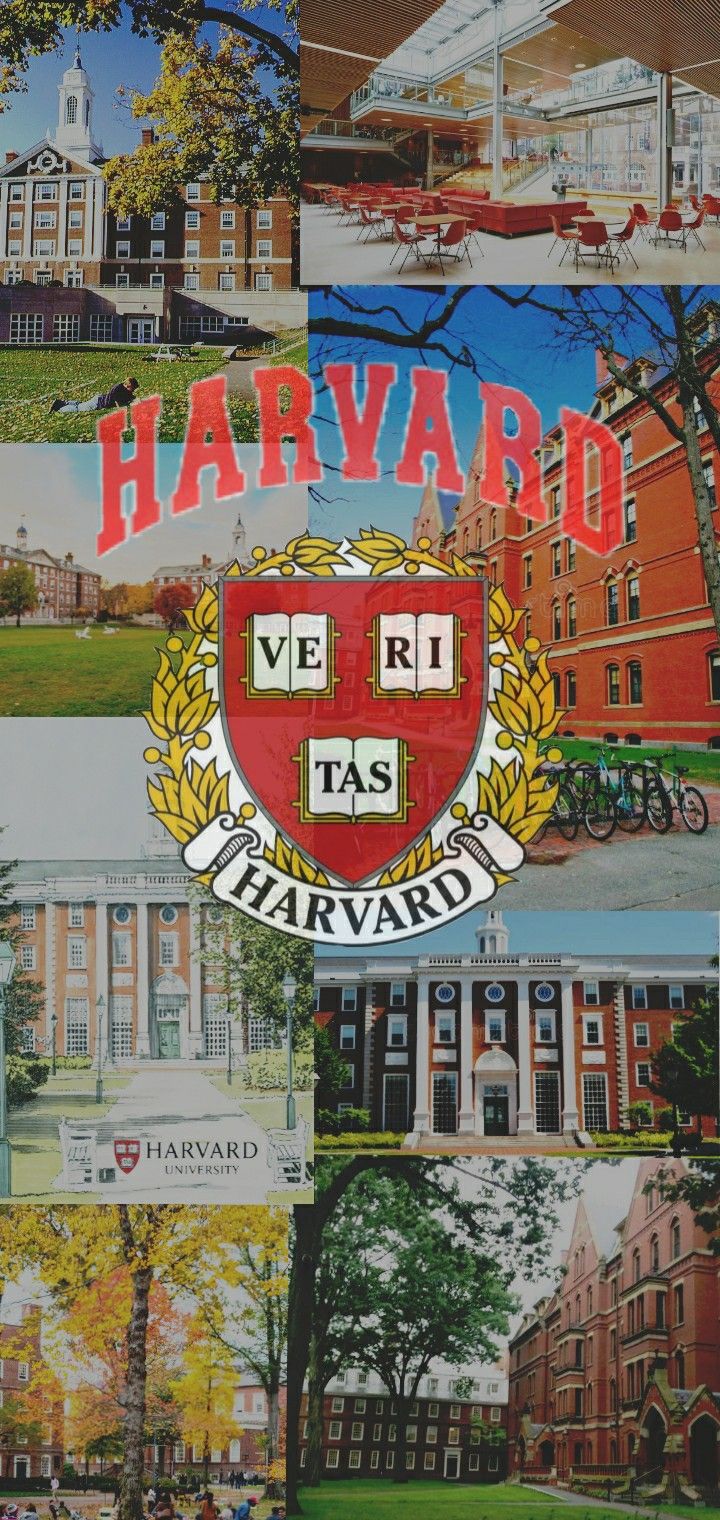 Harvard University Wallpaper - KibrisPDR