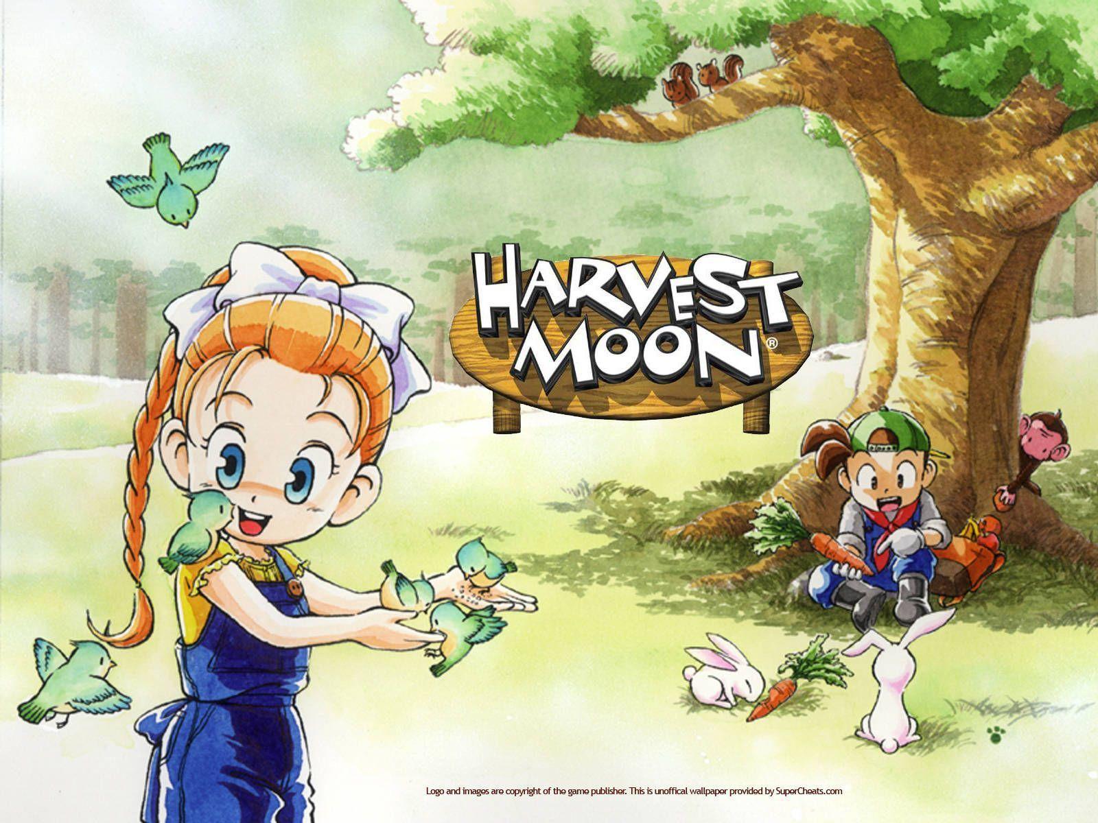 Harvest Moon Back To Nature Wallpaper - KibrisPDR