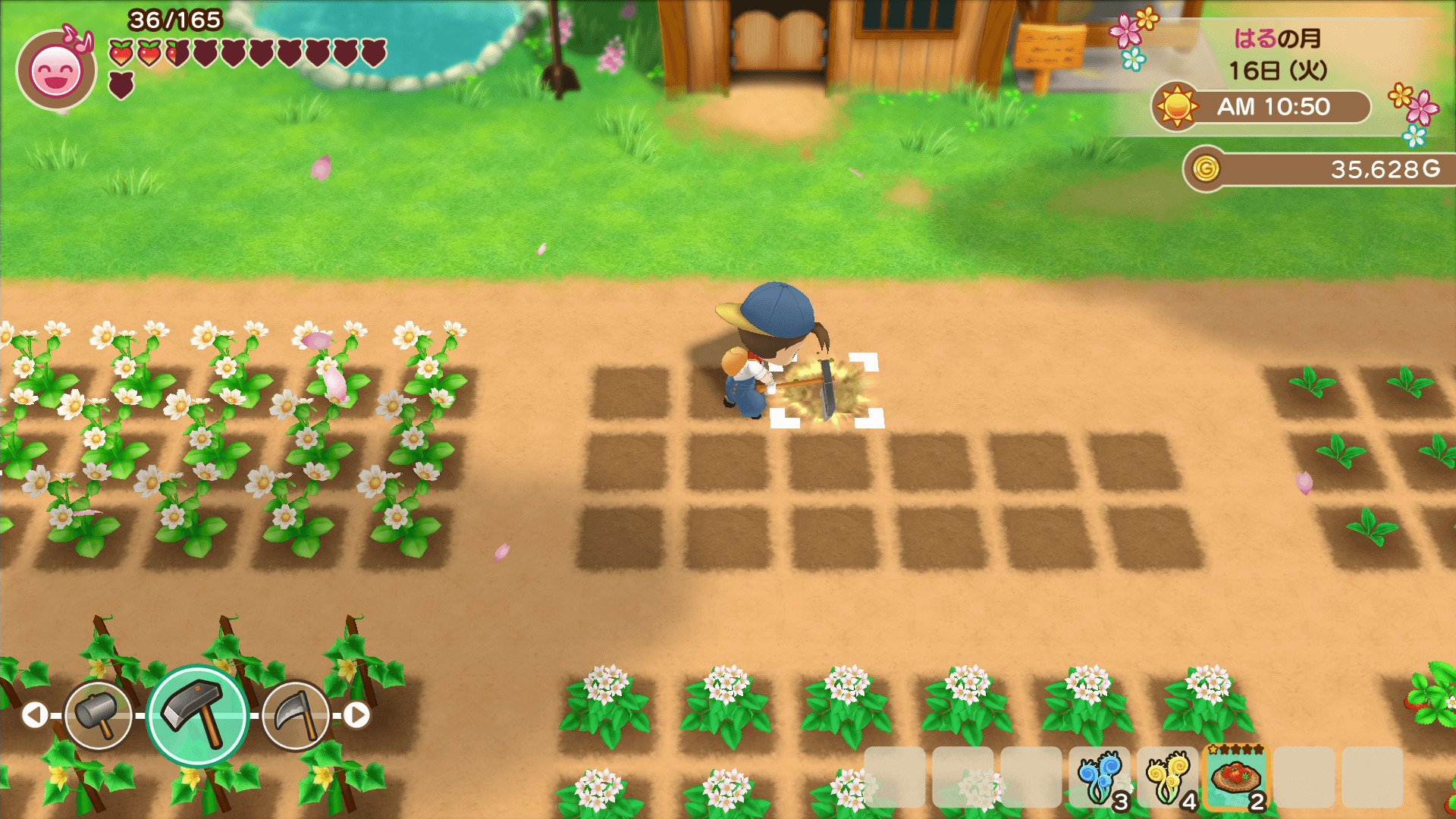 Harvest Moon Back To Nature Wallpaper 43+ Koleksi Gambar Harvest Moon Back To Nature Wallpaper 43+ Koleksi Gambar