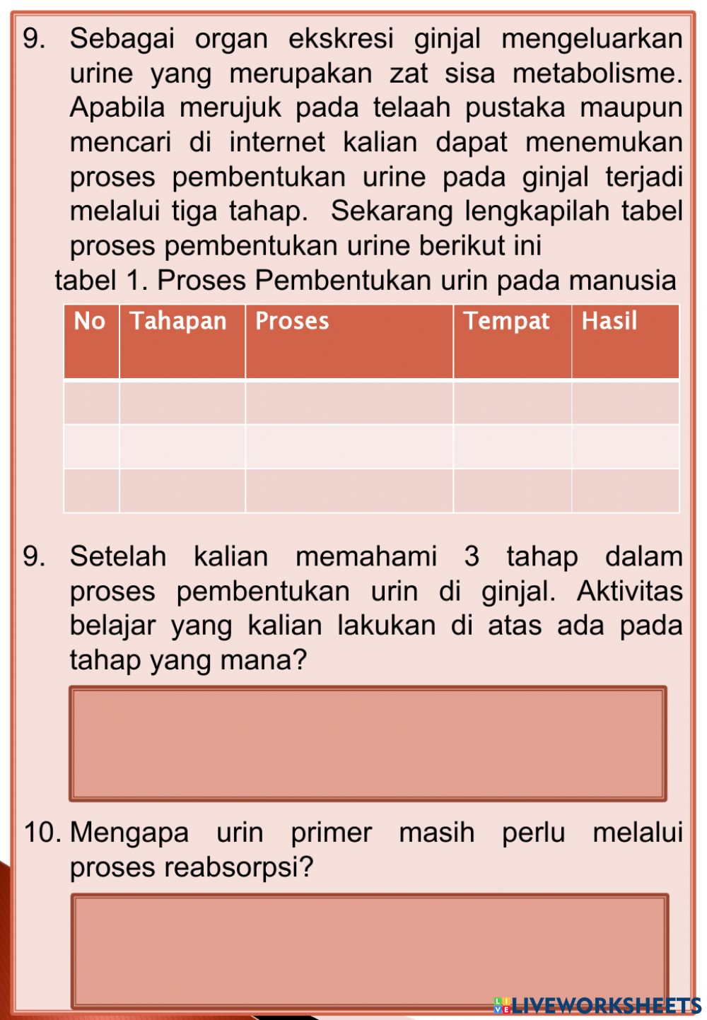 Detail Hasil Ekskresi Pada Ginjal Berdasarkan Gambar Nomer 56