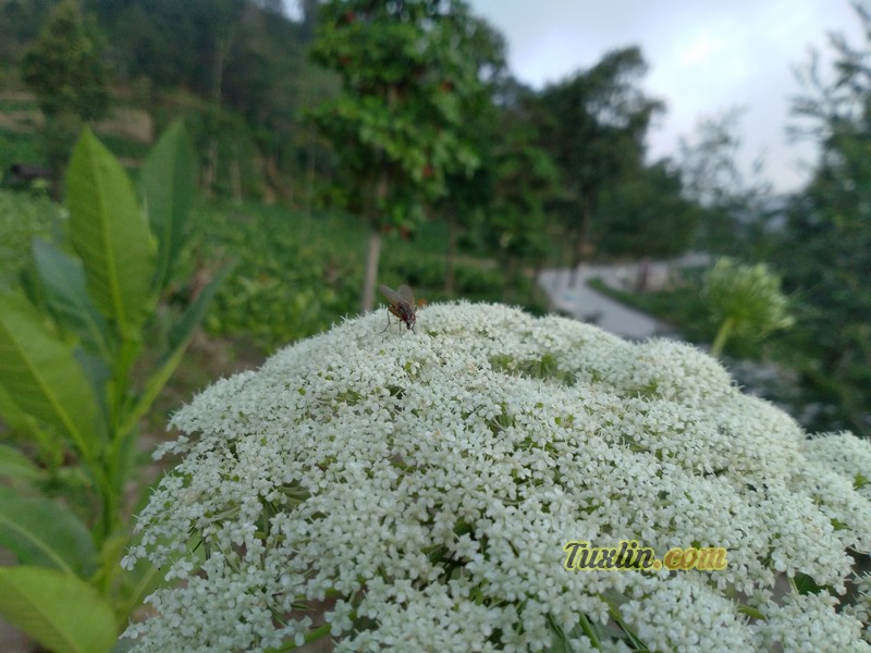 Detail Hasil Foto Blackberry Aurora Nomer 2