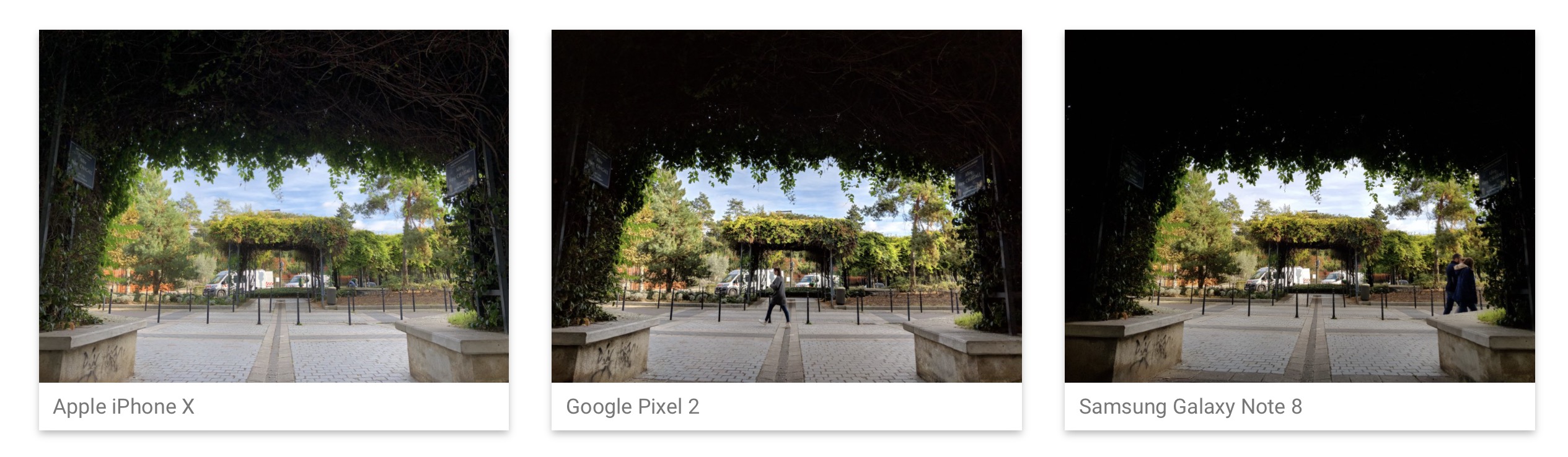 Detail Hasil Foto Google Pixel 2 Nomer 48