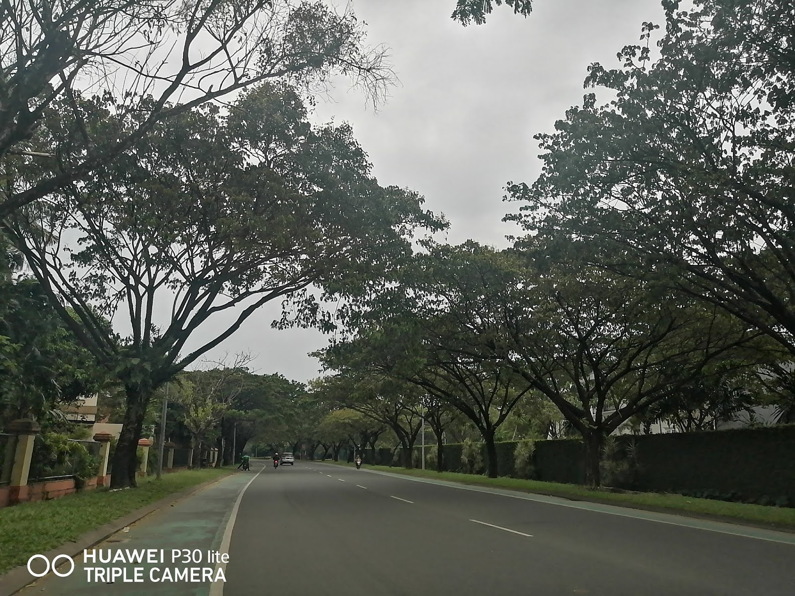 Detail Hasil Foto Huawei P30 Pro Nomer 51