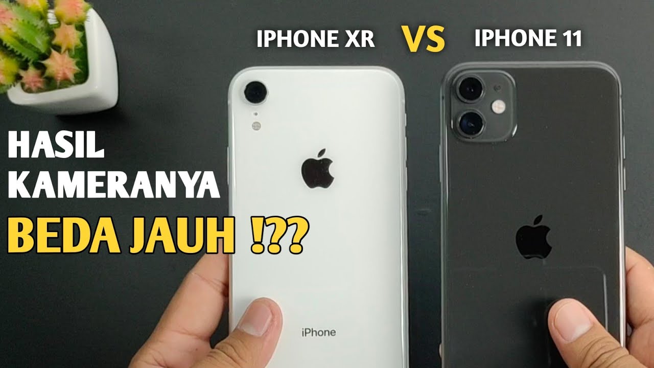 Detail Hasil Foto Iphone 8 Nomer 42