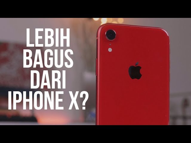 Detail Hasil Foto Iphone Xr Nomer 17