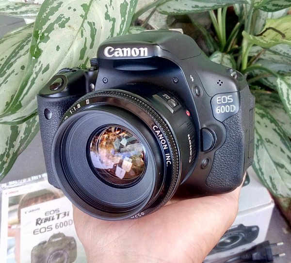 Detail Hasil Foto Kamera Canon Nomer 39