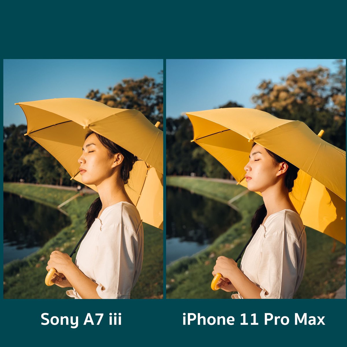 Detail Hasil Foto Kamera Mirrorless Nomer 51