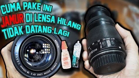 Detail Hasil Foto Lensa Berjamur Nomer 12