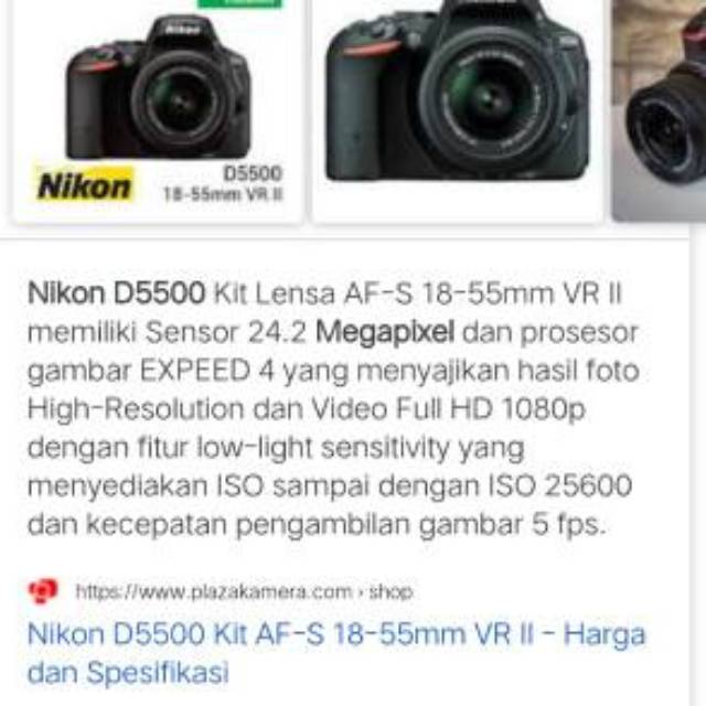 Detail Hasil Foto Nikon D5500 Nomer 47