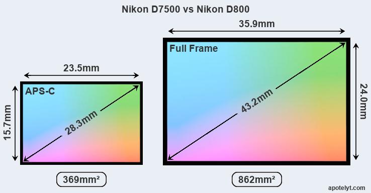 Detail Hasil Foto Nikon D800 Nomer 43