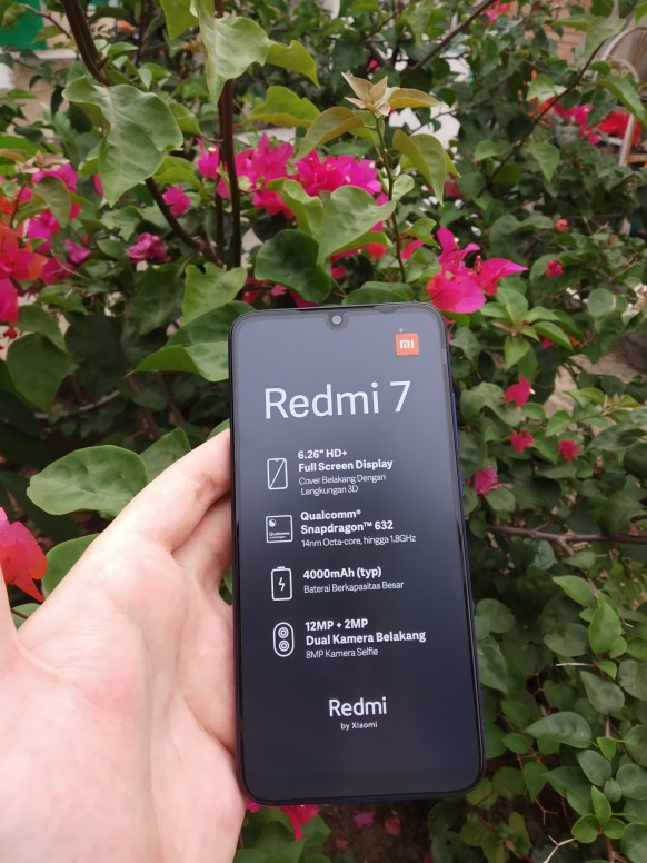 Detail Hasil Foto Redmi Note 7 Pro Nomer 14