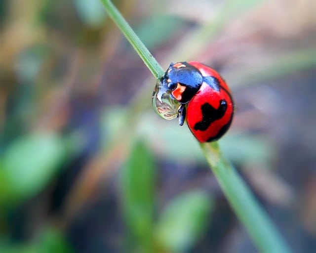 Detail Hasil Foto Terbaik Nomer 12