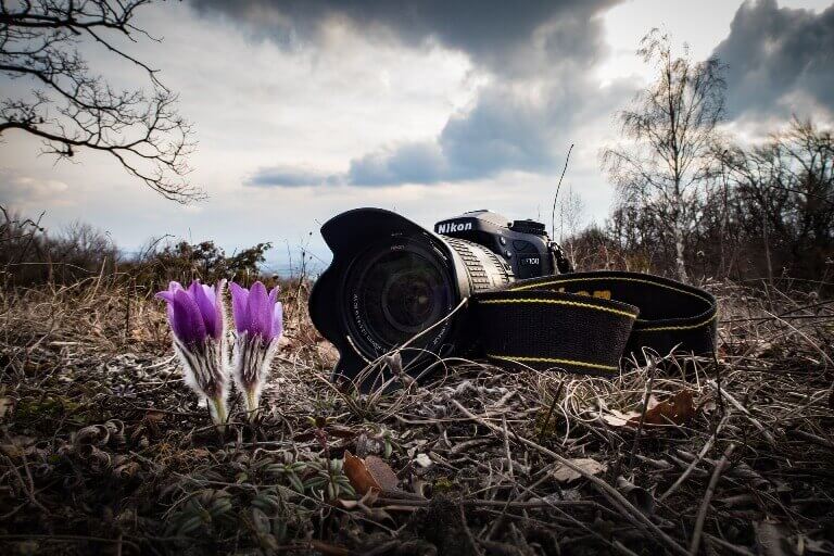 Detail Hasil Foto Terbaik Nomer 15