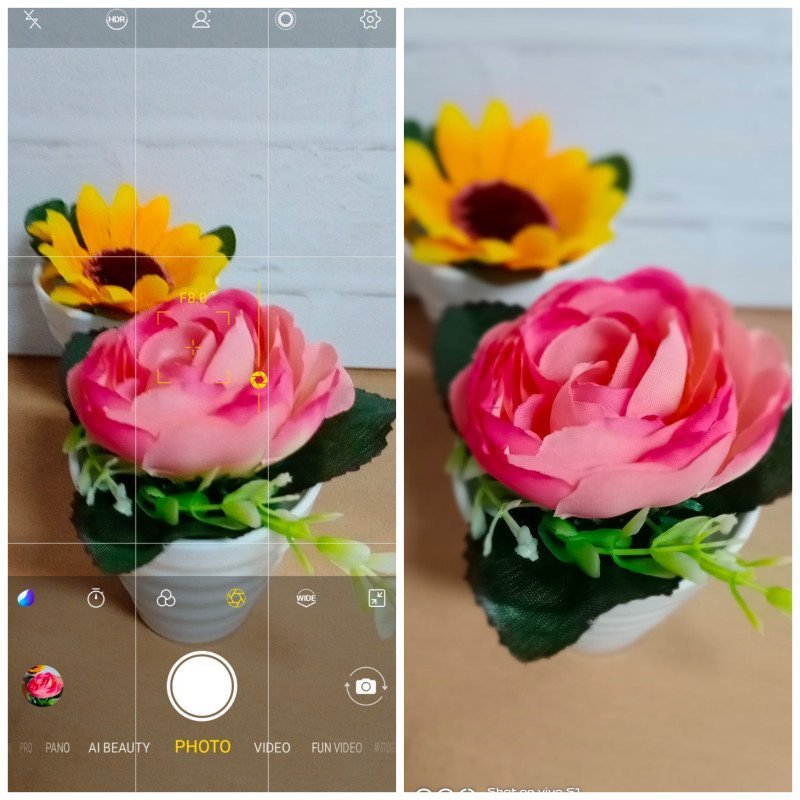 Detail Hasil Foto Vivo S1 Pro Nomer 27