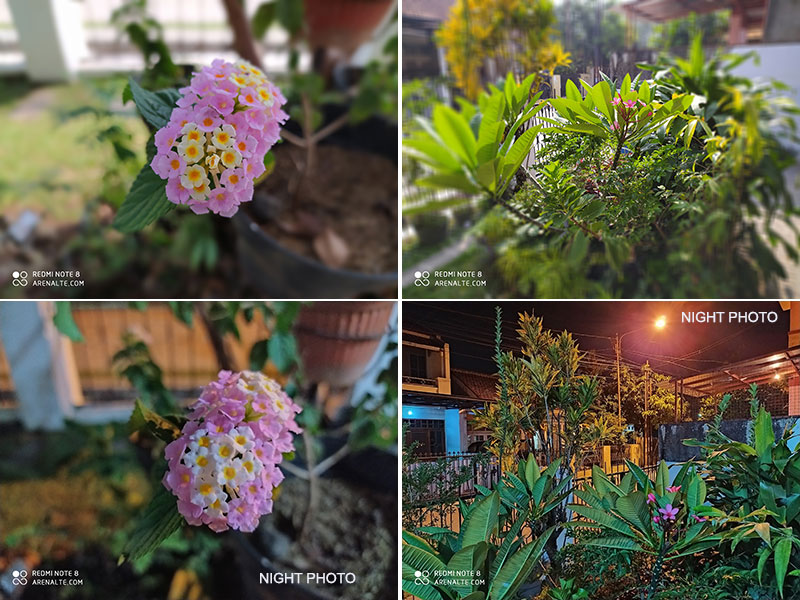 Detail Hasil Foto Xiaomi Redmi Note 8 Pro Nomer 44